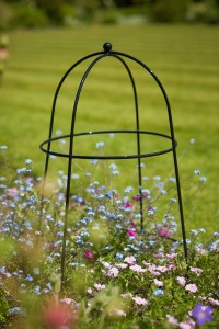 FLOWER AND PLANT CLOCHE